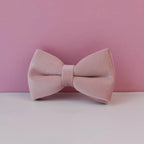 Petspuff Personalised Pale Pink Velvet Dog Collar & Lead Set – Engraved Name Tag, Bow & Harness
