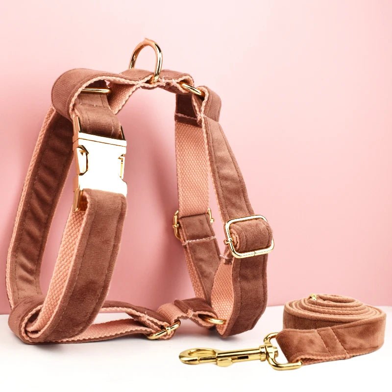 Petspuff Personalised Velvet Dog Harness & Lead Set – Heavy-Duty Metal Hardware | Many Colours - Petspuff