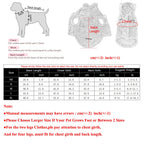 Petspuff Rabbit Ear Fleece Dog Hoodie – Warm Hooded Coat with D-Ring | Small Dogs & Cats