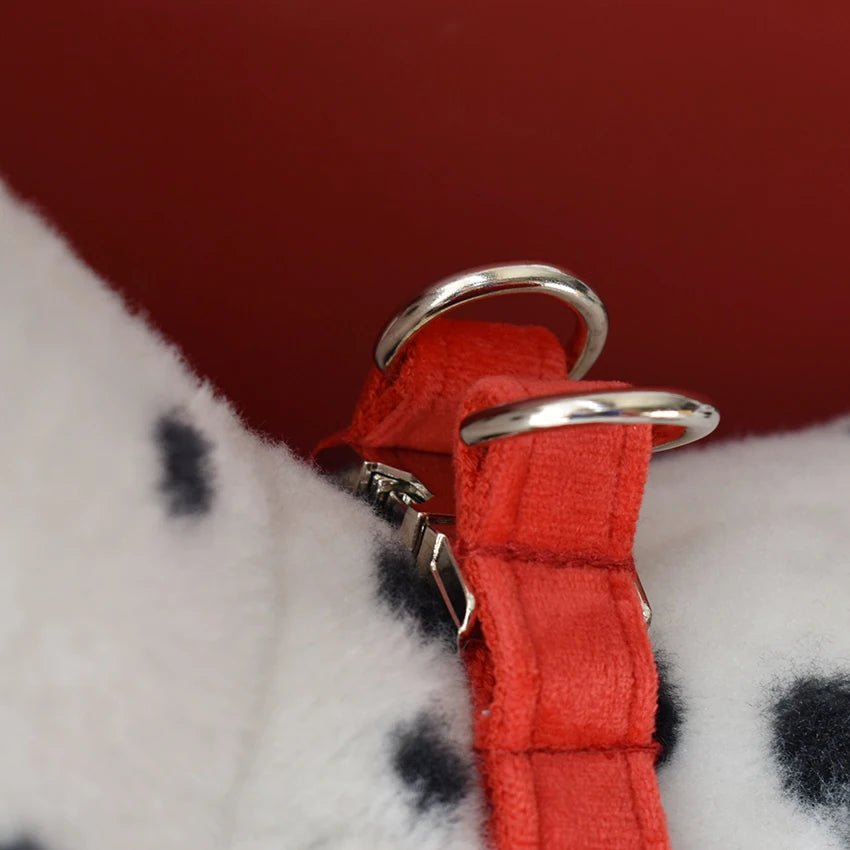 Petspuff Personalised Velvet Dog Harness & Lead – Engraved Nameplate, Silver Hardware | S–XL - Petspuff