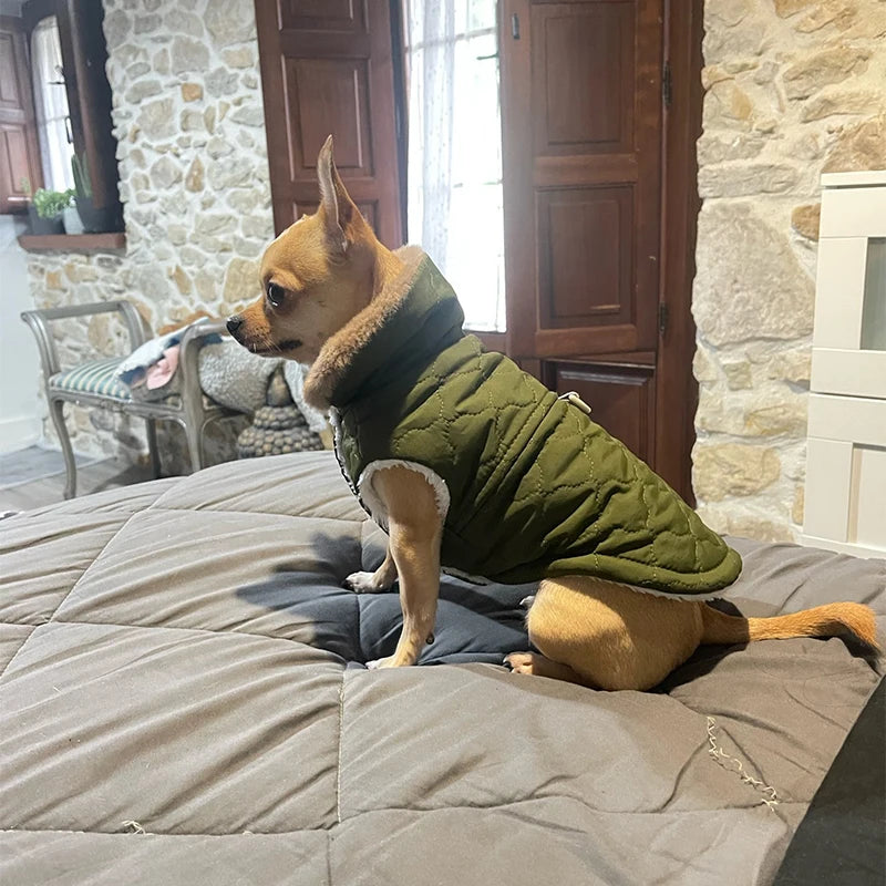 Petspuff Padded Dog Gilet with Plush Collar – Warm Winter Vest | Small Dogs & Cats