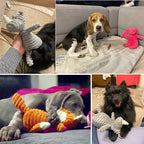 Petspuff Squeaky Plush Animal Dog Toy – Interactive Chew Toy for Puppies, Small & Large Dogs | 18 Designs - Petspuff