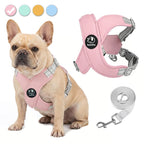 Petspuff Reflective Vest Harness & Lead Set – Padded Harness with Metal D-Ring | Small & Medium Dogs