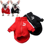 Petspuff Baseball Varsity Dog Jacket – Warm Winter Coat | Small & Medium Dogs