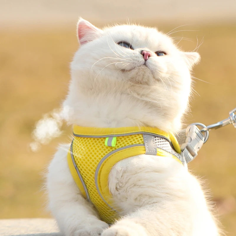 Petspuff Breathable Mesh Harness & Lead Set – Soft Vest Harness | Small Dogs, Puppies & Cats