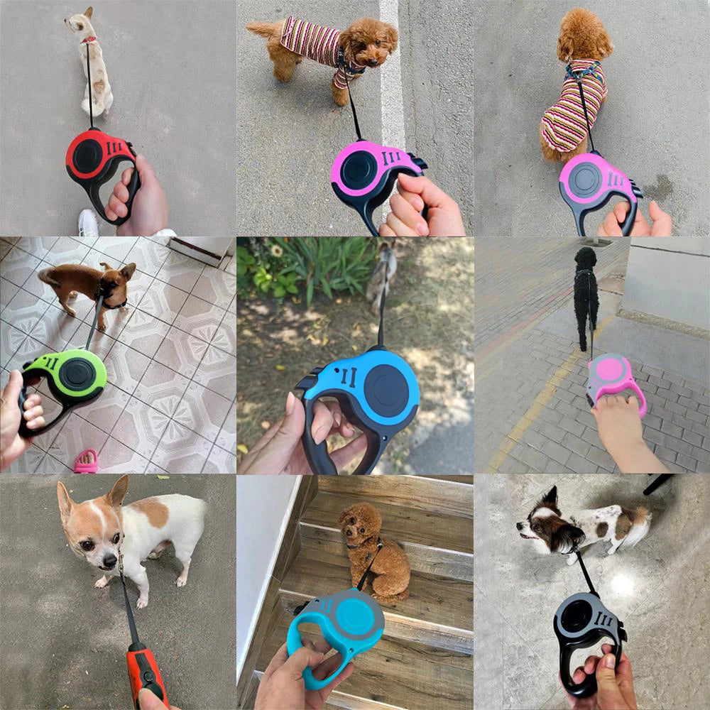 Petspuff Retractable Dog Lead 3m / 5m – One-Button Lock Extending Lead | Small & Medium Dogs