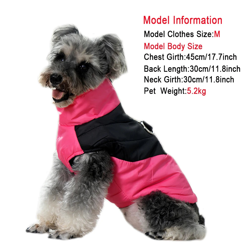 Petspuff Waterproof Dog Coat with D-Ring – Fleece-Lined Winter Jacket | Small & Medium Dogs
