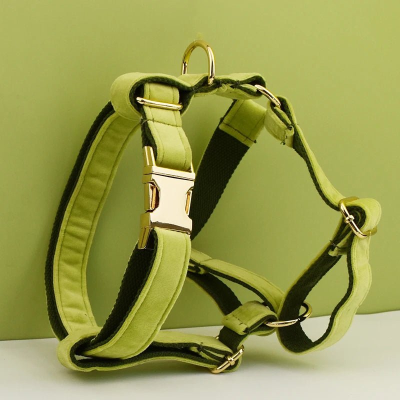 Petspuff Personalised Avocado Green Velvet Dog Collar & Lead Set – Engraved Name Tag, Bow & Harness - Petspuff