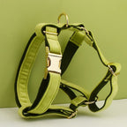 Petspuff Personalised Avocado Green Velvet Dog Collar & Lead Set – Engraved Name Tag, Bow & Harness - Petspuff