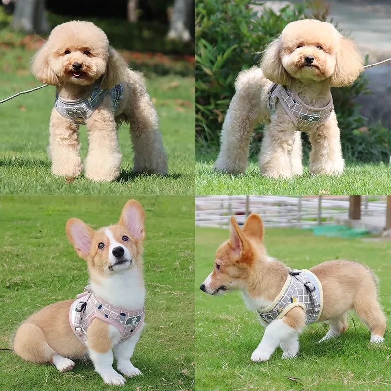 Petspuff Check Mesh Harness & Lead Set – Reflective Breathable Vest | Small Dogs, Puppies & Cats