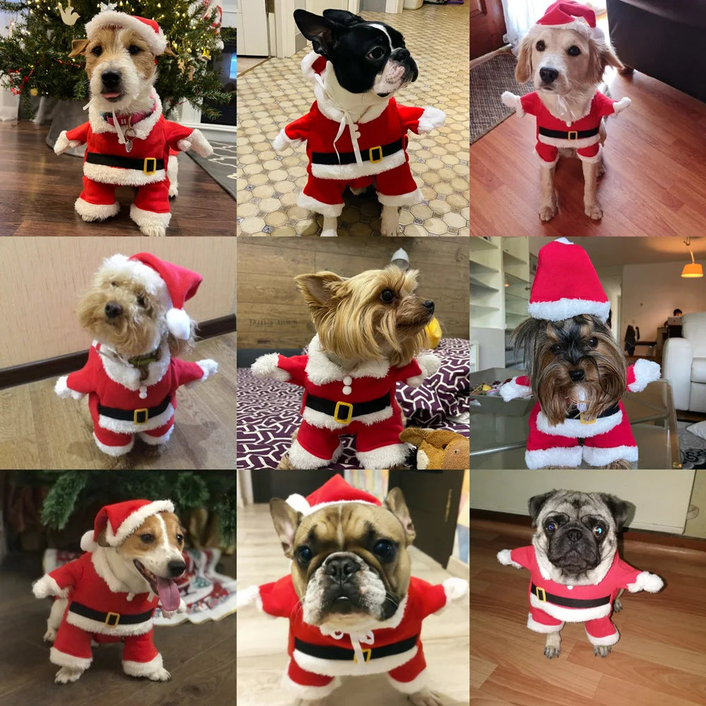 Petspuff Santa Claus Dog Costume with Hat – Funny Christmas Outfit | Small Dogs & Cats