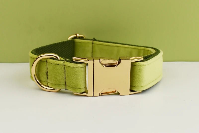 Petspuff Personalised Avocado Green Velvet Dog Collar & Lead Set – Engraved Name Tag, Bow & Harness - Petspuff