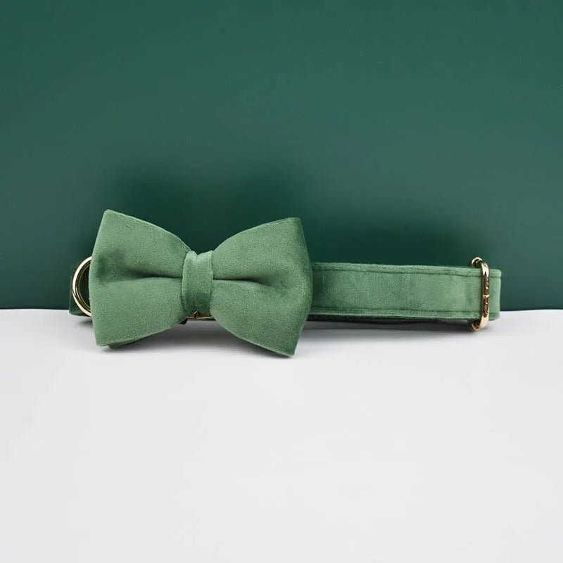 Petspuff Personalised Velvet Dog Collar with Gold Buckle, Bow Tie & Lead – Engraved Name Tag