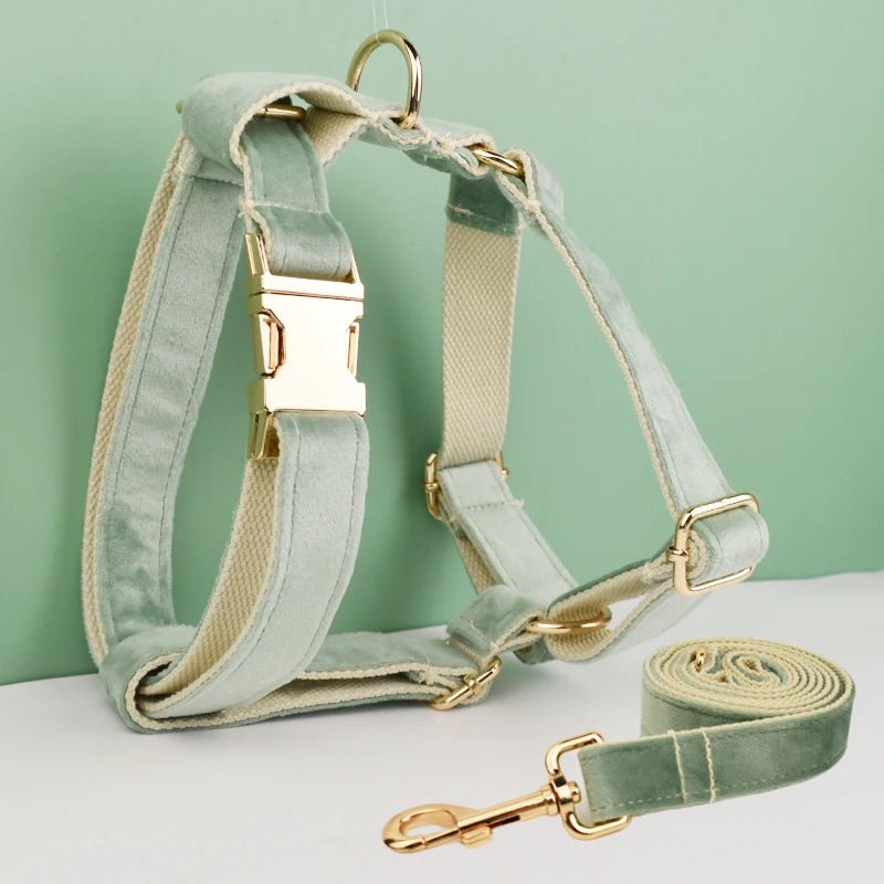 Petspuff Personalised Dog Harness & Lead Set with Poop Bag Holder – Engraved Name Tag | 19 Designs - Petspuff