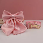 Petspuff Personalised Pink Print Dog Collar & Lead for Medium & Large Dogs – Engraved Name Tag & Bow
