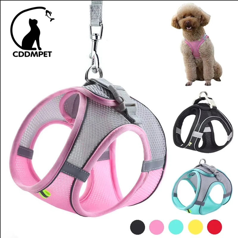 Petspuff Breathable Mesh Harness & Lead Set – Soft Vest Harness | Small Dogs, Puppies & Cats