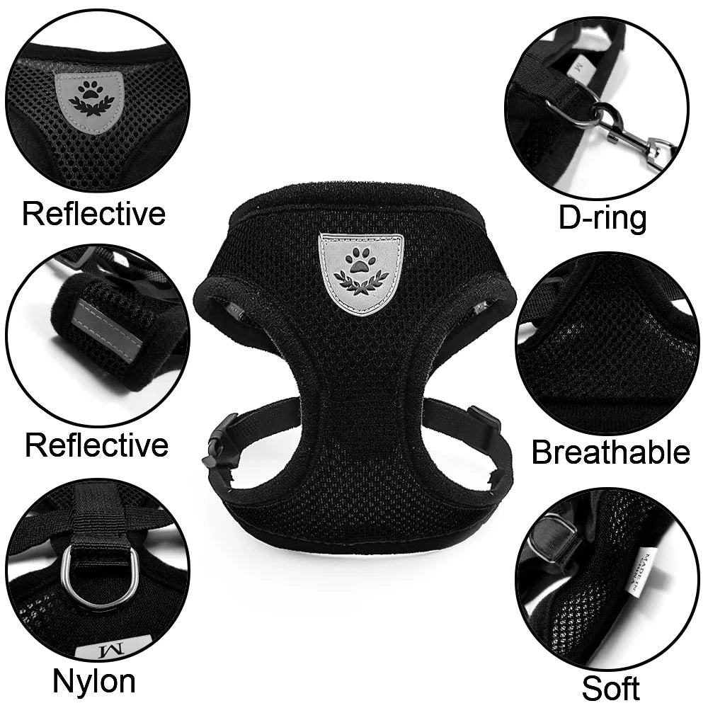 Petspuff Escape-Proof Cat Harness & Lead Set – Reflective Mesh Vest | Cats, Kittens & Small Dogs