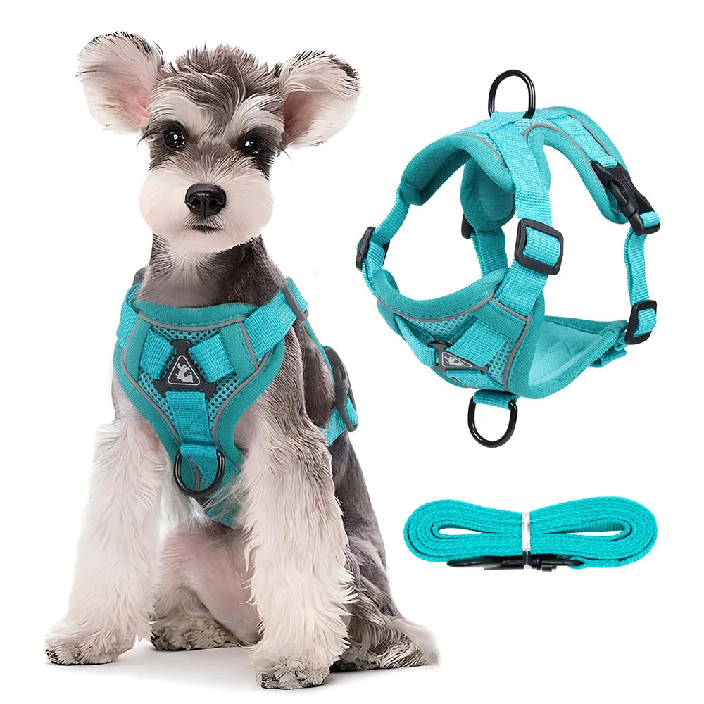 Petspuff Reflective Dog Harness & Lead Set – Adjustable Padded Vest | Small & Medium Dogs and Cats