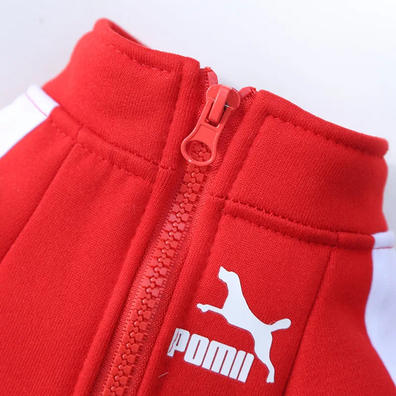 Petspuff Baseball Varsity Dog Jacket – Warm Winter Coat | Small & Medium Dogs