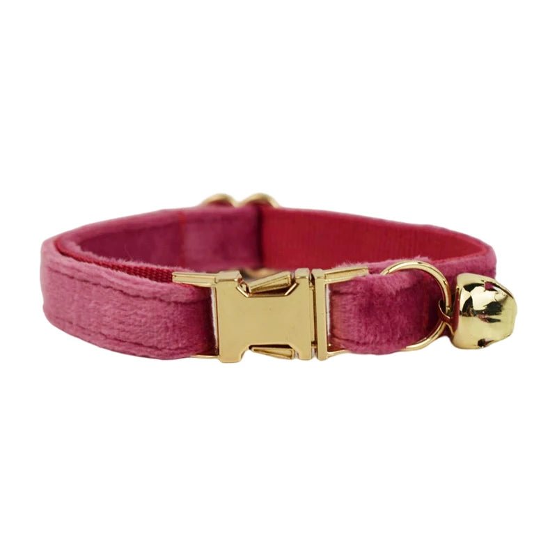Petspuff Personalised Bow Cat Collar & Lead with Bell – Engraved ID Tag | 7 Colours