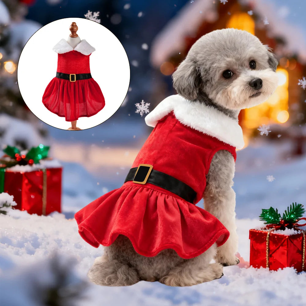 Petspuff Santa Dog Dress – Red Velvet Christmas Costume | Small Dogs & Cats