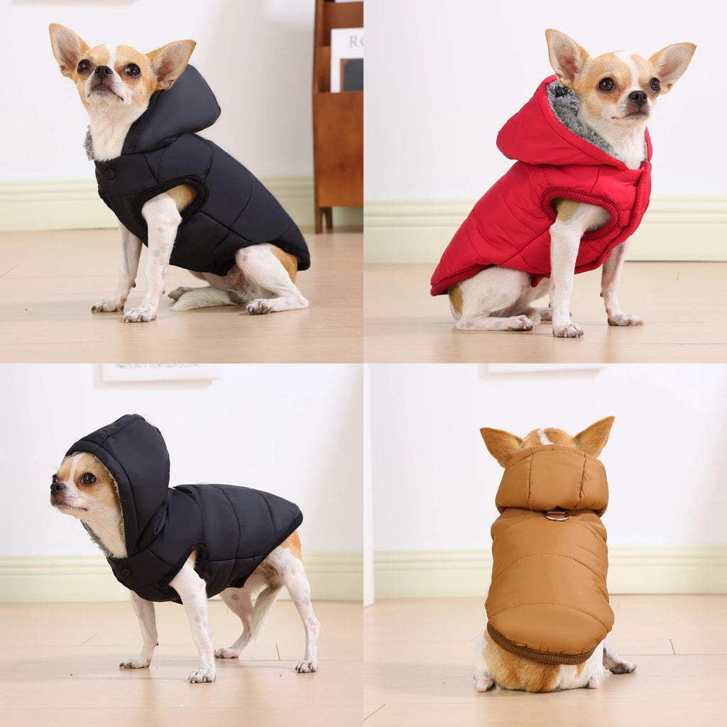 Petspuff Waterproof Cat Hoodie Jacket – Fleece-Lined Winter Coat with D-Ring | Cats & Small Dogs