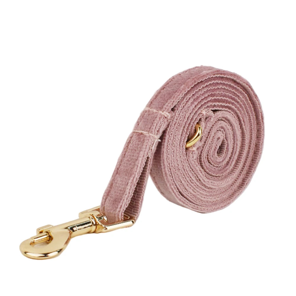 Petspuff Personalised Bow Cat Collar & Lead with Bell – Engraved ID Tag | 7 Colours