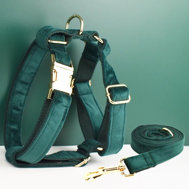 Petspuff Personalised Dog Harness & Lead Set with Poop Bag Holder – Engraved Name Tag | 19 Designs - Petspuff