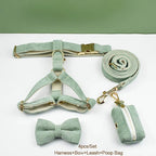 Petspuff Personalised Light Green Corduroy Dog Collar & Lead Set – Engraved Name Tag, Bow & Harness