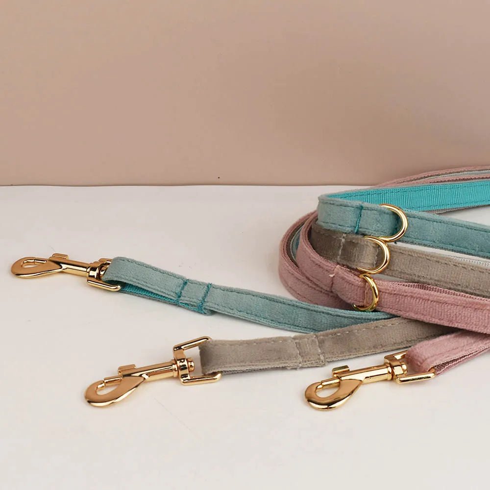 Petspuff Personalised Bow Cat Collar & Lead with Bell – Engraved ID Tag | 7 Colours