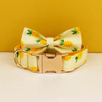 Petspuff Personalised Fruit & Animal Print Bow Tie Dog Collar & Lead – Engraved Name Tag | 8 Designs - Petspuff