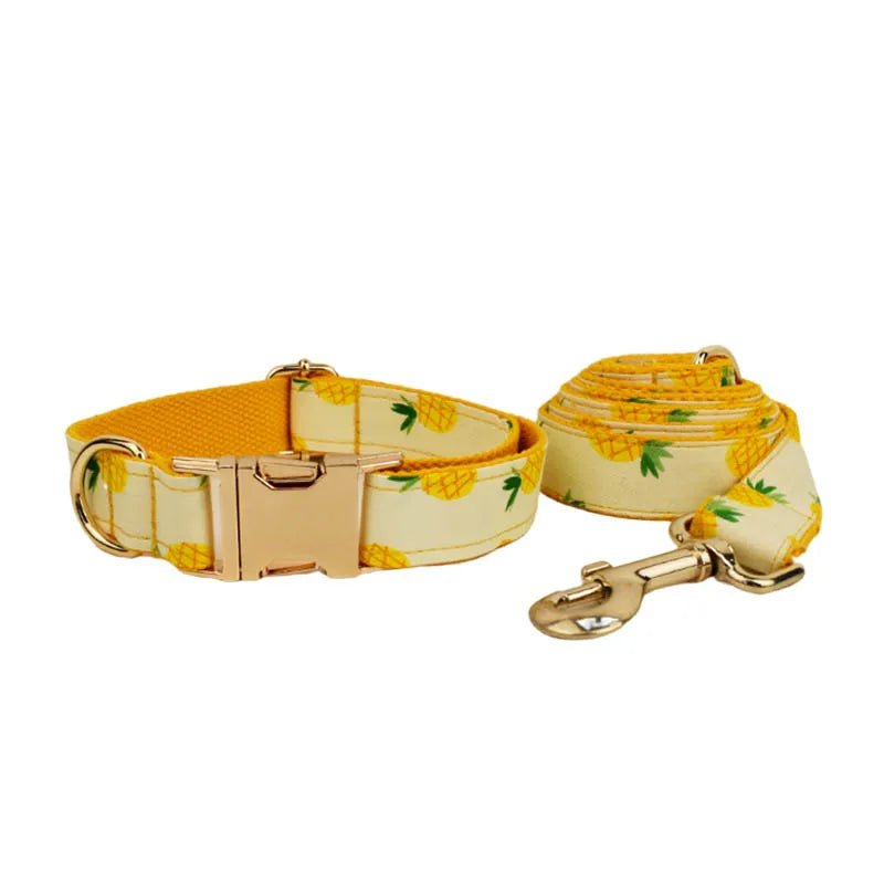 Petspuff Personalised Pineapple Print Dog Collar, Harness & Lead Set – Engraved Name Tag & Bow - Petspuff