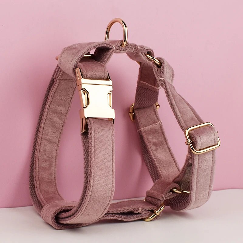 Petspuff Personalised Velvet Dog Harness & Lead Set – Heavy-Duty Metal Hardware | Many Colours - Petspuff