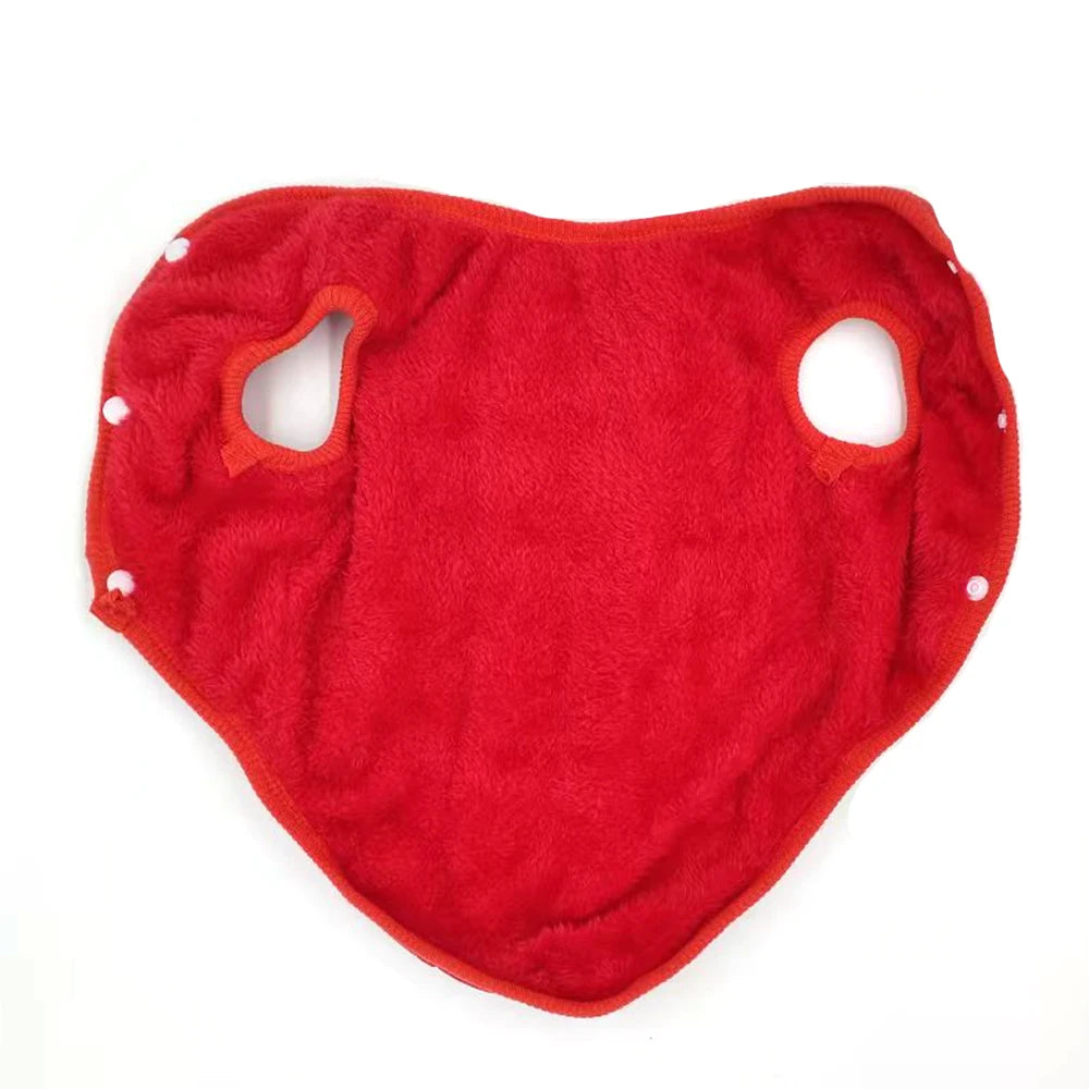 Petspuff Padded Cotton Dog Jacket – Warm Winter Coat | Small & Medium Dogs and Cats