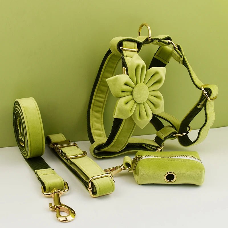 Petspuff Personalised Avocado Green Velvet Dog Collar & Lead Set – Engraved Name Tag, Bow & Harness - Petspuff