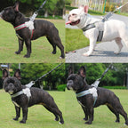 Petspuff Reflective Mesh Dog Harness Vest – Breathable Adjustable Chest Harness | Small to Large Dogs