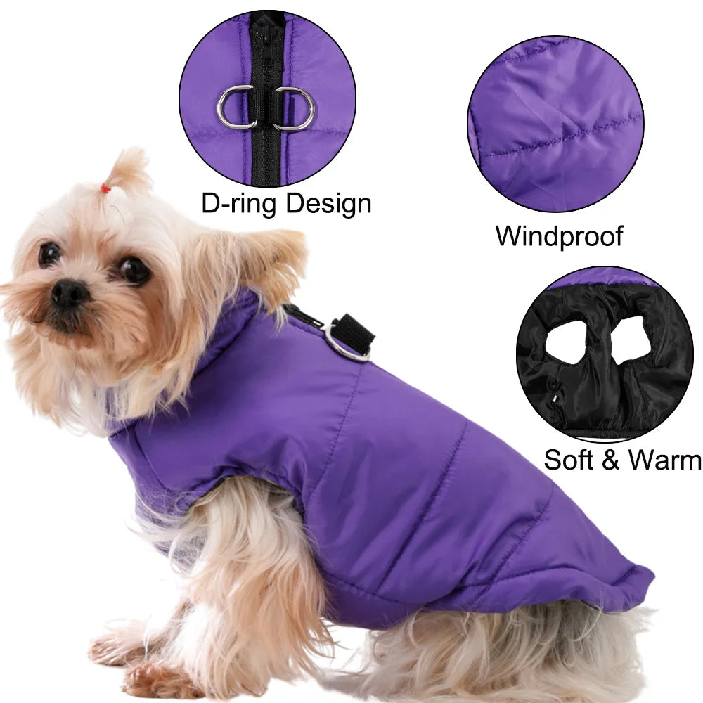 Petspuff Outdoor Camping Dog Jacket – Windproof Warm Coat with D-Ring | Small & Medium Dogs