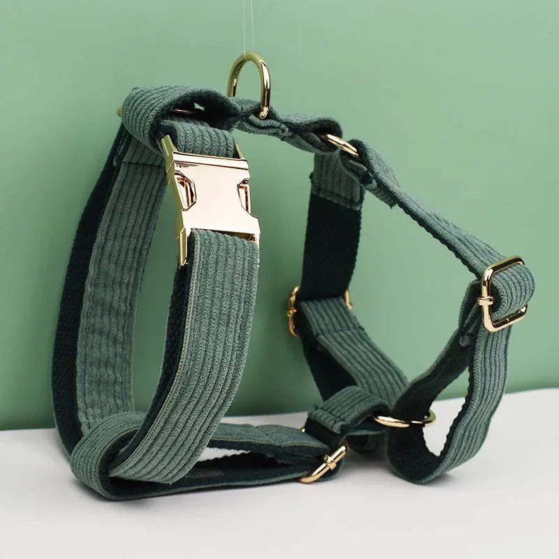 Petspuff Personalised Dark Green Corduroy Dog Collar & Lead Set – Engraved Name Tag, Bow & Harness - Petspuff