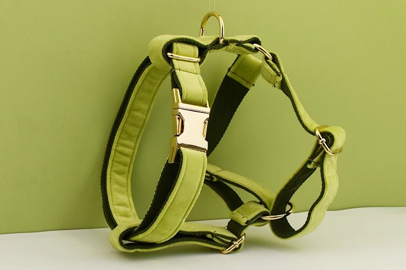 Petspuff Personalised Avocado Green Velvet Dog Collar & Lead Set – Engraved Name Tag, Bow & Harness - Petspuff