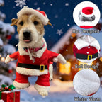 Petspuff Santa Claus Dog Costume with Hat – Funny Christmas Outfit | Small Dogs & Cats