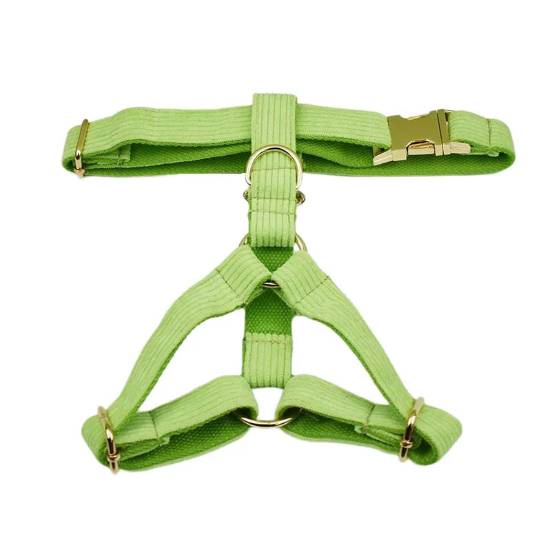 Petspuff Personalised Apple Green Corduroy Dog Collar & Lead Set – Engraved Name Tag, Bow & Harness