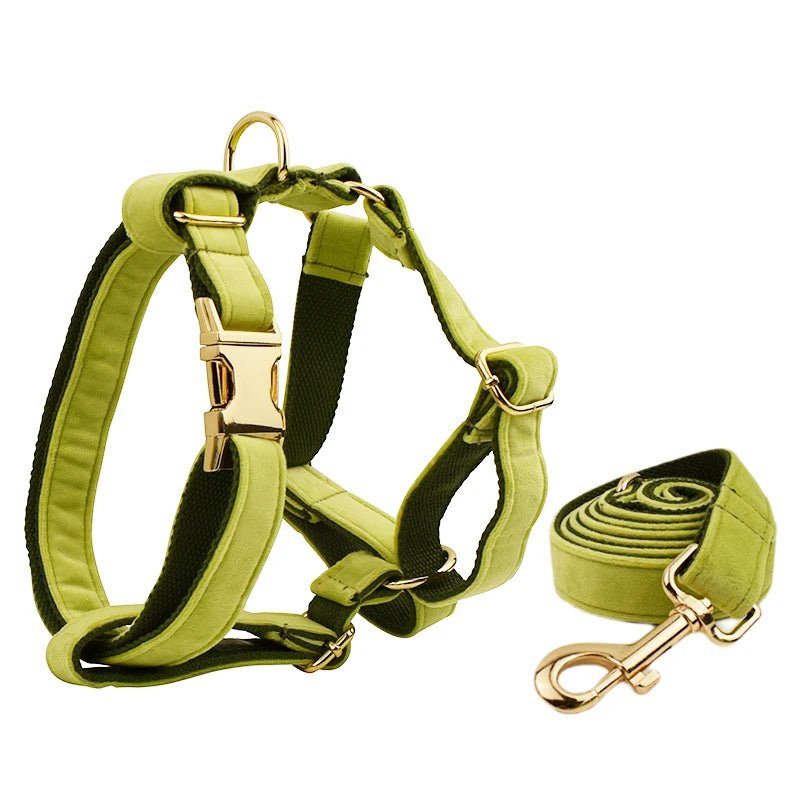 Petspuff Personalised Velvet Dog Harness & Lead Set – Heavy-Duty Metal Hardware | Many Colours - Petspuff