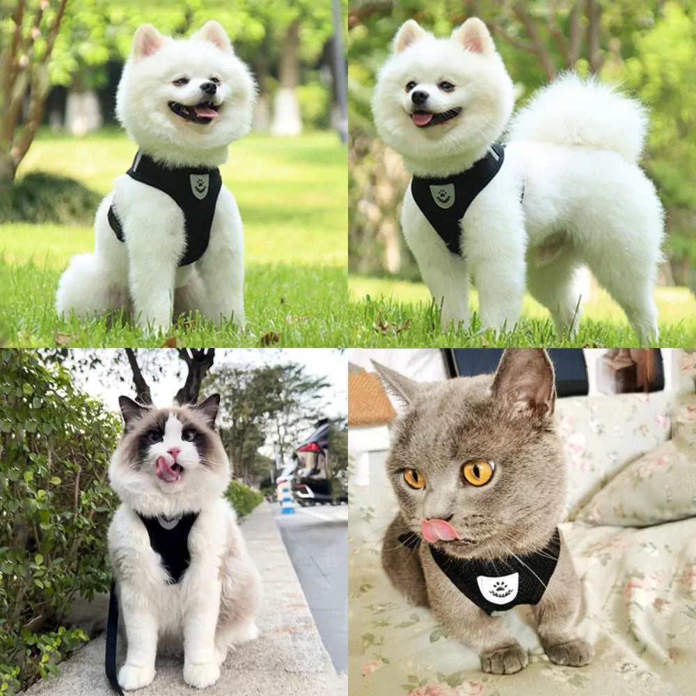 Petspuff Escape-Proof Cat Harness & Lead Set – Reflective Mesh Vest | Cats, Kittens & Small Dogs