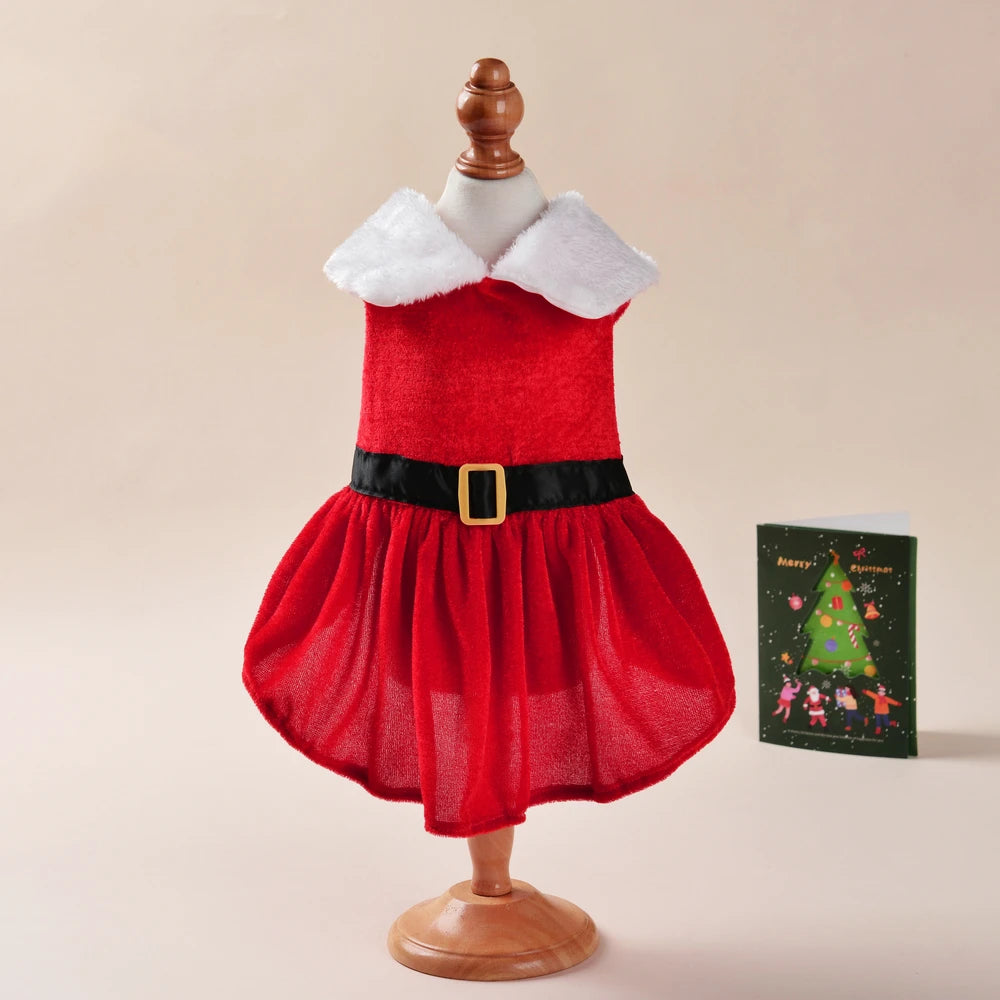 Petspuff Santa Dog Dress – Red Velvet Christmas Costume | Small Dogs & Cats
