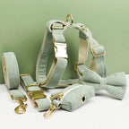 Petspuff Personalised Light Green Corduroy Dog Collar & Lead Set – Engraved Name Tag, Bow & Harness