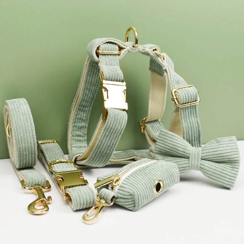 Petspuff Personalised Light Green Corduroy Dog Collar & Lead Set – Engraved Name Tag, Bow & Harness