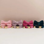 Petspuff Personalised Bow Cat Collar & Lead with Bell – Engraved ID Tag | 7 Colours