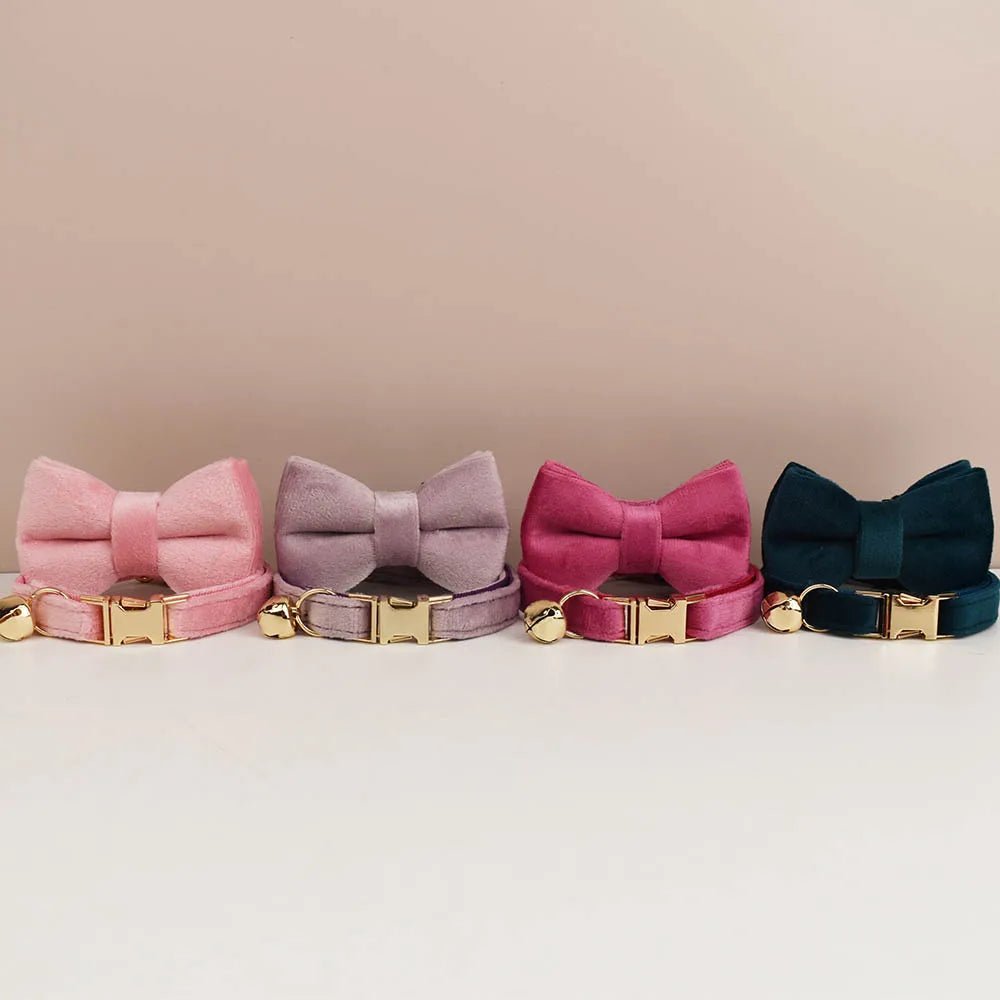 Petspuff Personalised Bow Cat Collar & Lead with Bell – Engraved ID Tag | 7 Colours