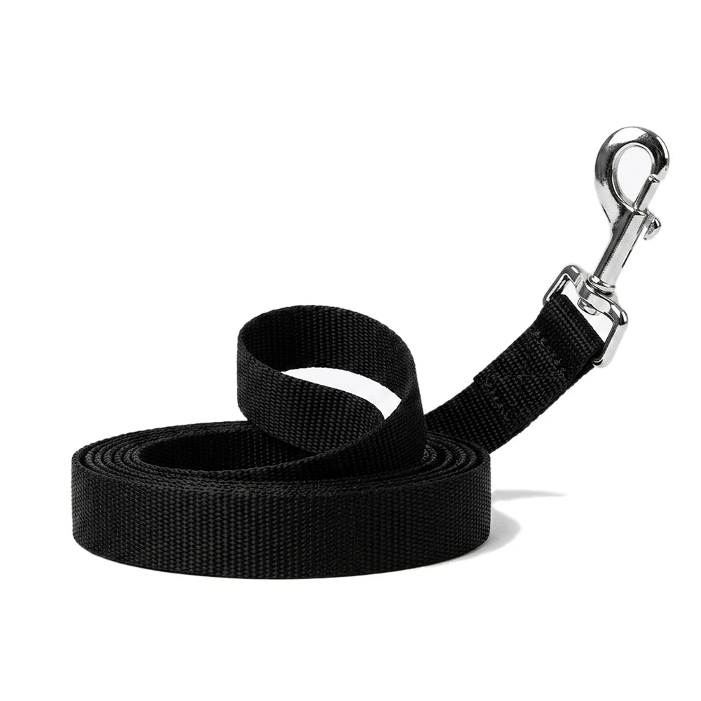Petspuff Long Dog Training Lead – Strong Nylon Recall Line 1.5m to 50m | All Dogs