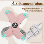 Petspuff Reflective Vest Harness & Lead Set – Padded Harness with Metal D-Ring | Small & Medium Dogs